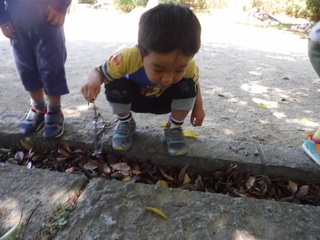 DSCF3319.jpg