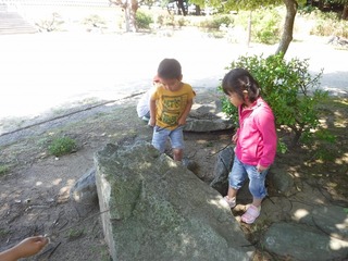 DSCF3325.jpg