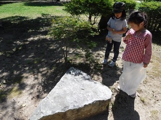 DSCF3332.jpg