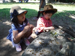 DSCF3345.jpg