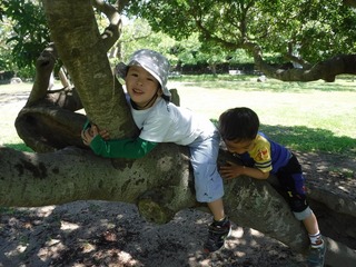DSCF3351.jpg