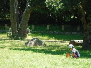 DSCF3363.jpg