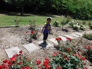 DSCF3369.jpg