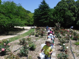 DSCF3373.jpg