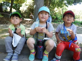 DSCF3377.jpg