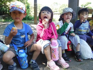 DSCF3379.jpg