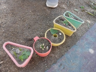 DSCF3389.jpg