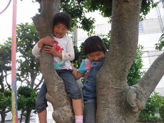 DSCF3538.jpg