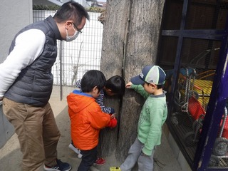DSCF3574.jpg