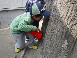 DSCF3577.jpg