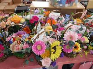 DSCF3725.jpg