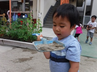 DSCF3743.jpg