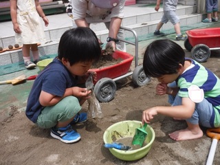 DSCF3863.jpg