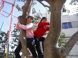 DSCF4059.jpg