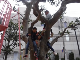 DSCF4118.jpg