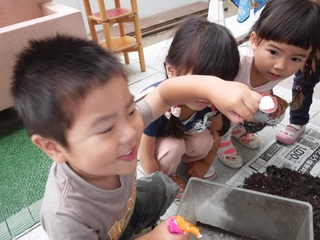 DSCF4432.jpg