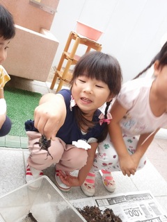 DSCF4433.jpg
