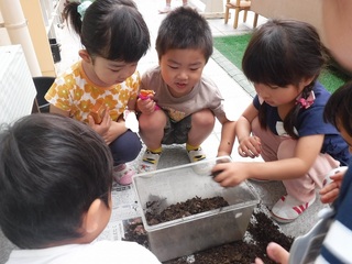 DSCF4435.jpg