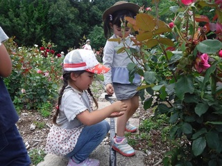 DSCF5145.jpg