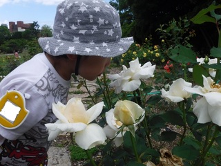 DSCF5148.jpg
