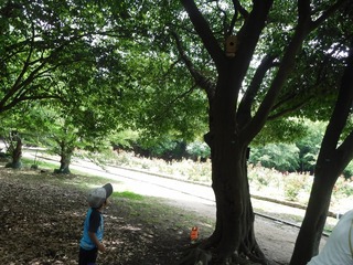 DSCF5154.jpg