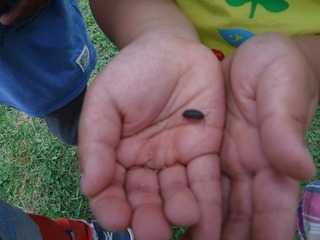 DSCF5161.jpg