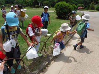 DSCF5175.jpg