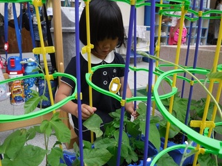 DSCF5281.jpg