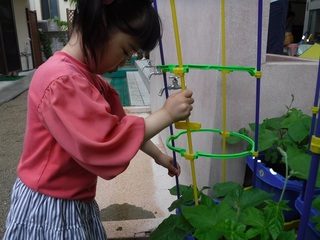 DSCF5282.jpg