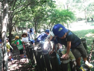 DSCF5331.jpg