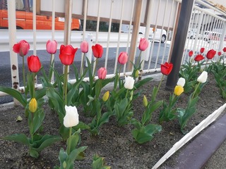 DSCF5392.jpg