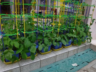 DSCF5435.jpg