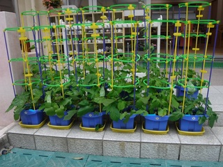 DSCF5436.jpg