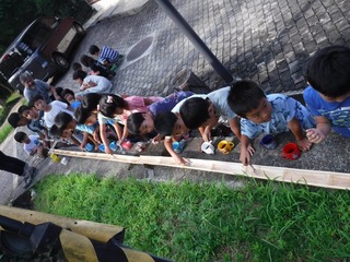 DSCF5484.jpg