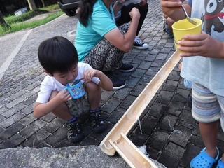 DSCF5491.jpg