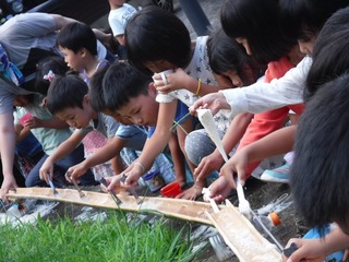 DSCF5496.jpg