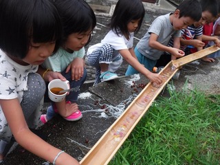 DSCF5516.jpg