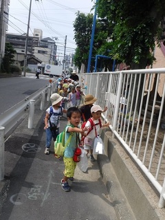 DSCF5517.jpg