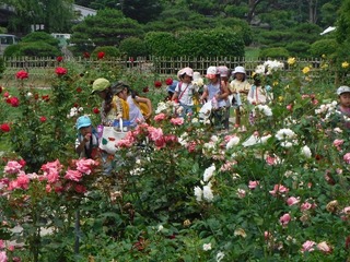DSCF5520.jpg