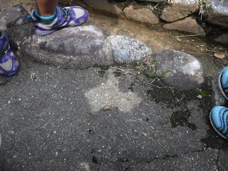 DSCF5523.jpg