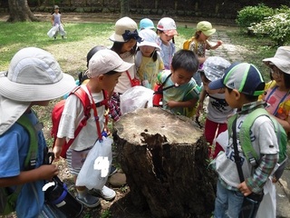 DSCF5525.jpg