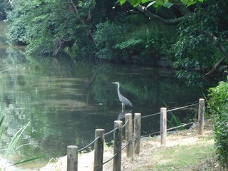 DSCF5532.jpg