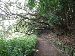 DSCF5535.jpg