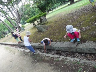 DSCF5545.jpg