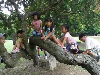 DSCF5562.jpg