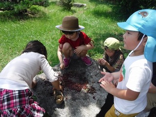 DSCF5588.jpg