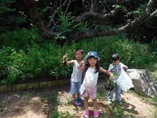 DSCF5591.jpg