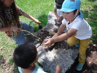 DSCF5594.jpg