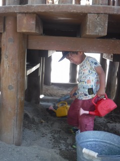 DSCF5665.jpg
