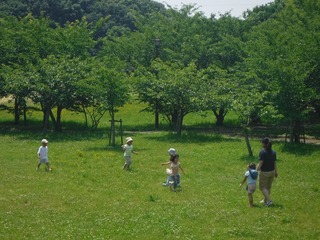 DSCF5677.jpg